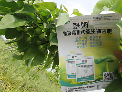 果樹葉面肥,拉姆拉,翠姆 果樹葉面肥,拉姆拉,翠姆