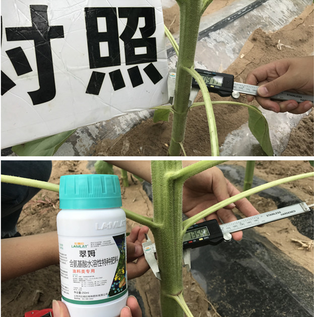 葉面肥,拉姆拉,翠姆 葉面肥,拉姆拉,翠姆