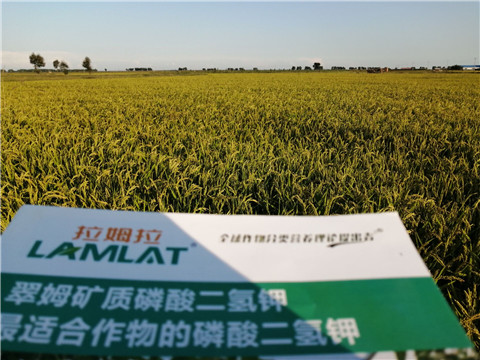 葉面肥，磷酸二氫鉀