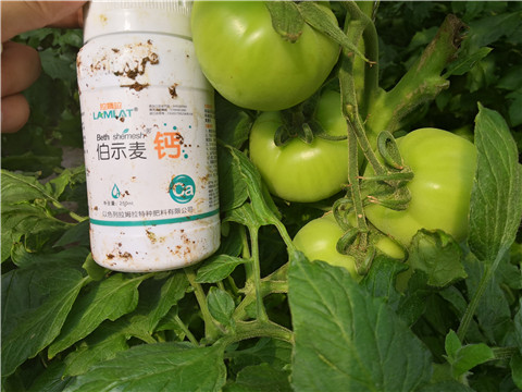 葉面肥，磷酸二氫鉀，鈣肥