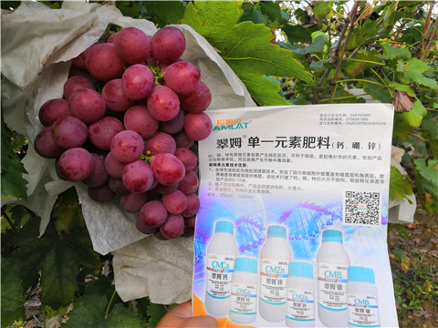 水溶肥，鈣肥，硼肥