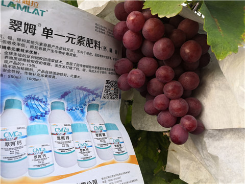 水溶肥，鈣肥，硼肥