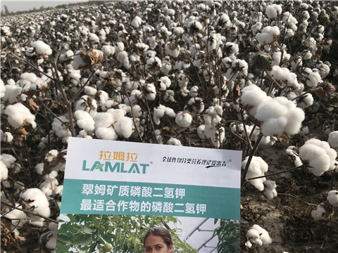 水溶肥，根碧多，生物菌劑