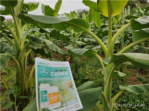 葉面肥，微生物菌劑，硼肥，水溶肥