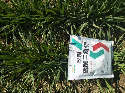 磷酸二氫鉀，