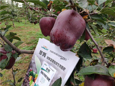 微生物菌劑，