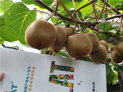 磷酸二氫鉀，葉面肥