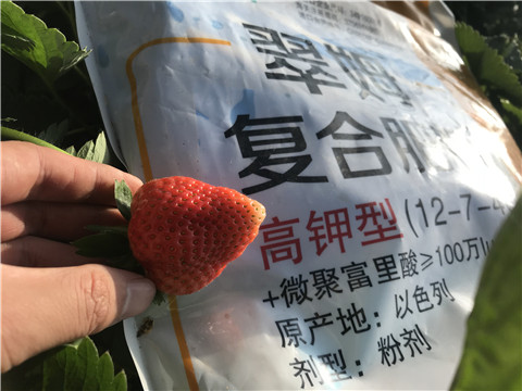 水溶，拉姆拉，翠姆