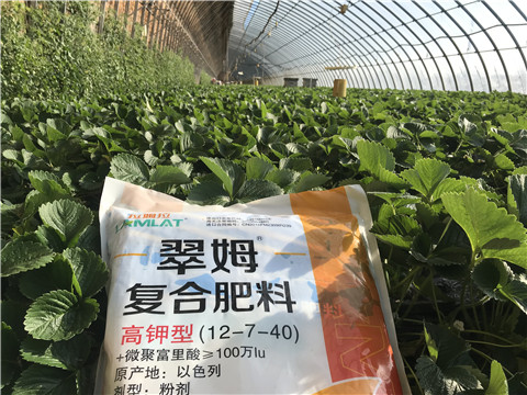 水溶，拉姆拉，翠姆