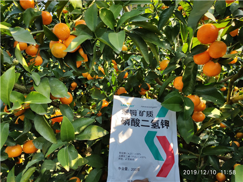 水溶肥，磷酸二氫鉀