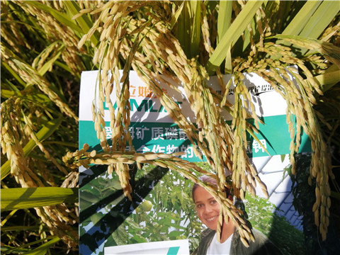 水溶肥，磷酸二氫鉀，