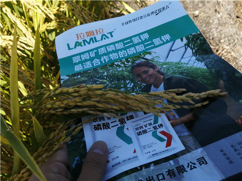 水溶肥，磷酸二氫鉀，