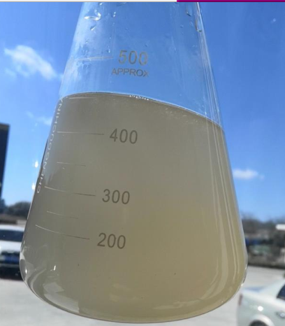 特種肥料,拉姆拉,水溶肥,魚(yú)蛋白