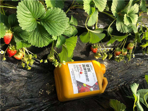 水溶肥，拉姆拉