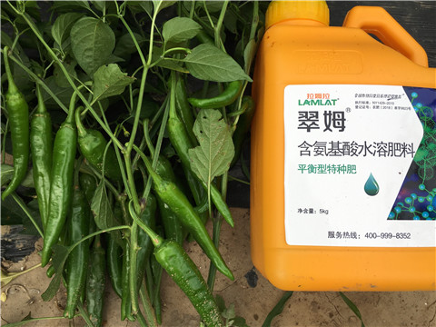 根碧多，微生物菌，葉面肥