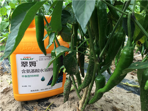 根碧多，微生物菌，葉面肥