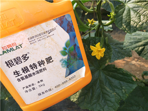 拉姆拉，根碧多，微生物菌劑