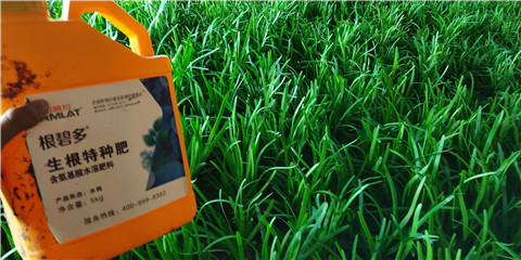 根碧多，拉姆拉