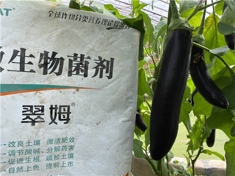 微生物菌劑，拉姆拉