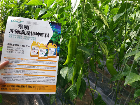 水溶肥，拉姆拉