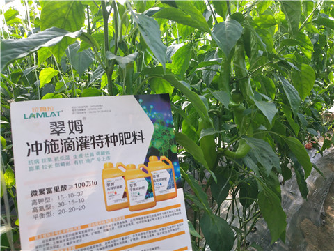 水溶肥，拉姆拉