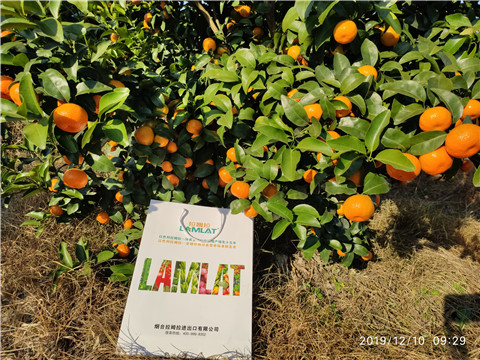 沖施肥，拉姆拉