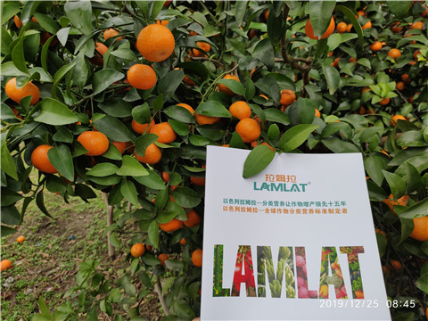 水溶肥，根碧多