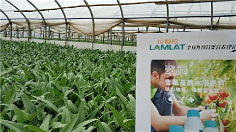 葉面肥，磷酸二氫鉀