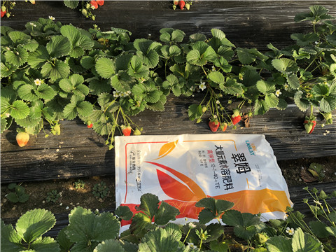 水溶肥，葉面肥，根碧多