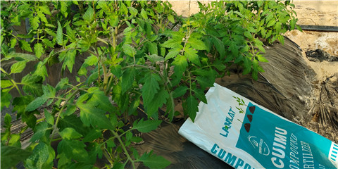 磷酸二氫鉀，鈣肥，水溶肥