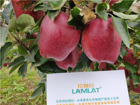 水溶肥 拉姆拉，翠姆