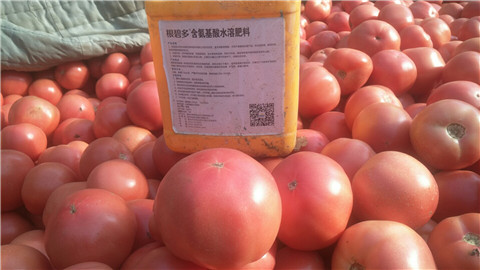 水溶肥，根碧多