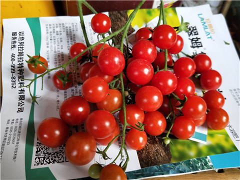 磷酸二氫鉀，鈣肥，根碧多