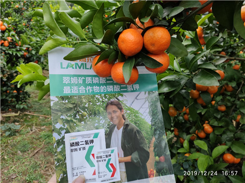 磷酸二氫鉀，鈣肥，硼肥