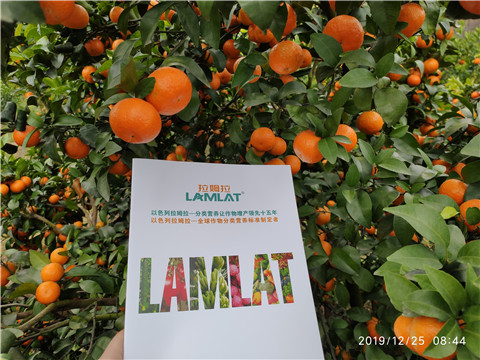 磷酸二氫鉀，鈣肥，硼肥