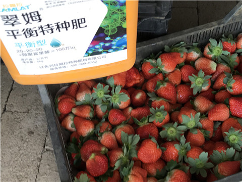 沖施肥，磷酸二氫鉀