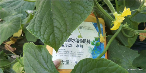 水溶肥，翠姆