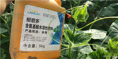 水溶肥，翠姆