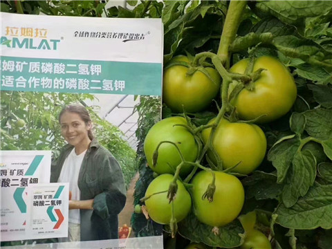 磷酸二氫鉀，鈣肥，水溶肥