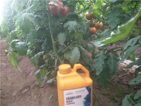 根碧多，微生物菌劑