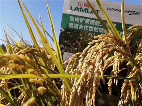 磷酸二氫鉀，翠姆