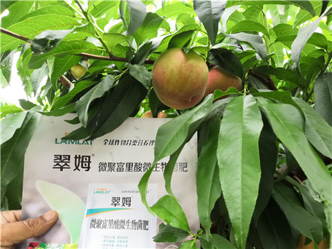 根碧多，微生物菌劑