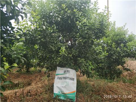 微生物菌劑，拉姆拉