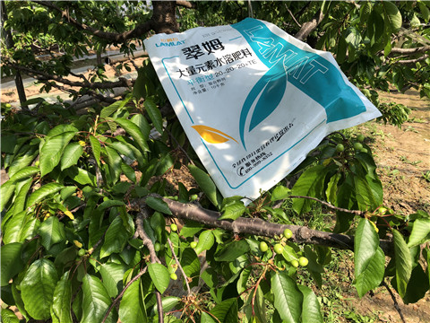 大量元素水溶肥，磷酸二氫鉀，硼肥