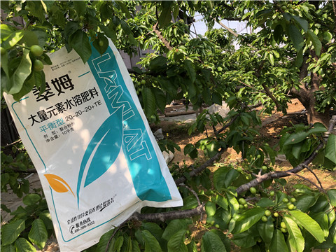 大量元素水溶肥，磷酸二氫鉀，硼肥