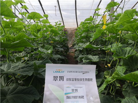 微生物菌劑，拉姆拉