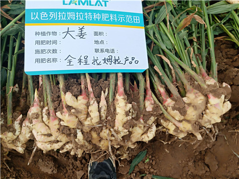 水溶肥，微生物菌劑，拉姆拉