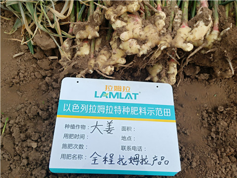 水溶肥，微生物菌劑，拉姆拉