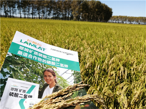 葉面肥，磷酸二氫鉀，安碧解