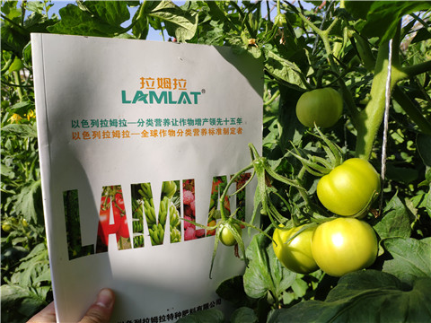 微生物菌劑，拉姆拉，伯示麥